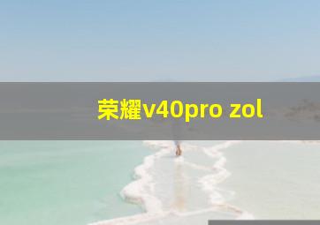 荣耀v40pro zol